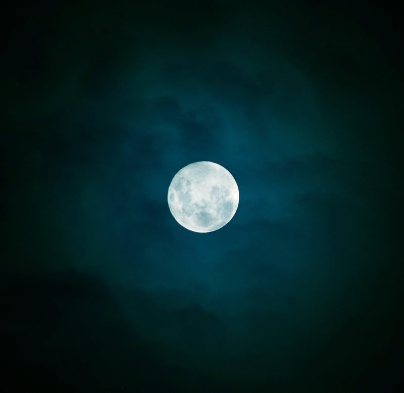 Moonlit Kisses Shots
