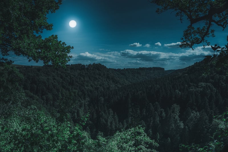 Moonlight Ceremony Image
