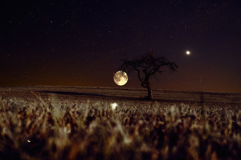 moon in the night sky