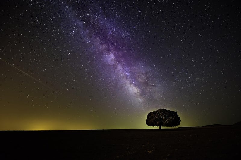 starry night sky